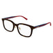 002 - Havana/Blue - Transparent