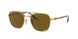 001/AN - Gold - Polar Brown