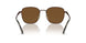 114857 - Brown - Polar Brown