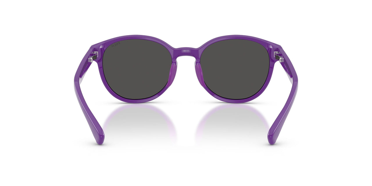 632787 - Violet - Dark Grey