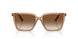 507613 - Brown - Brown Gradient