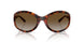 W656T5 - Brown - Gradient Brown Polar