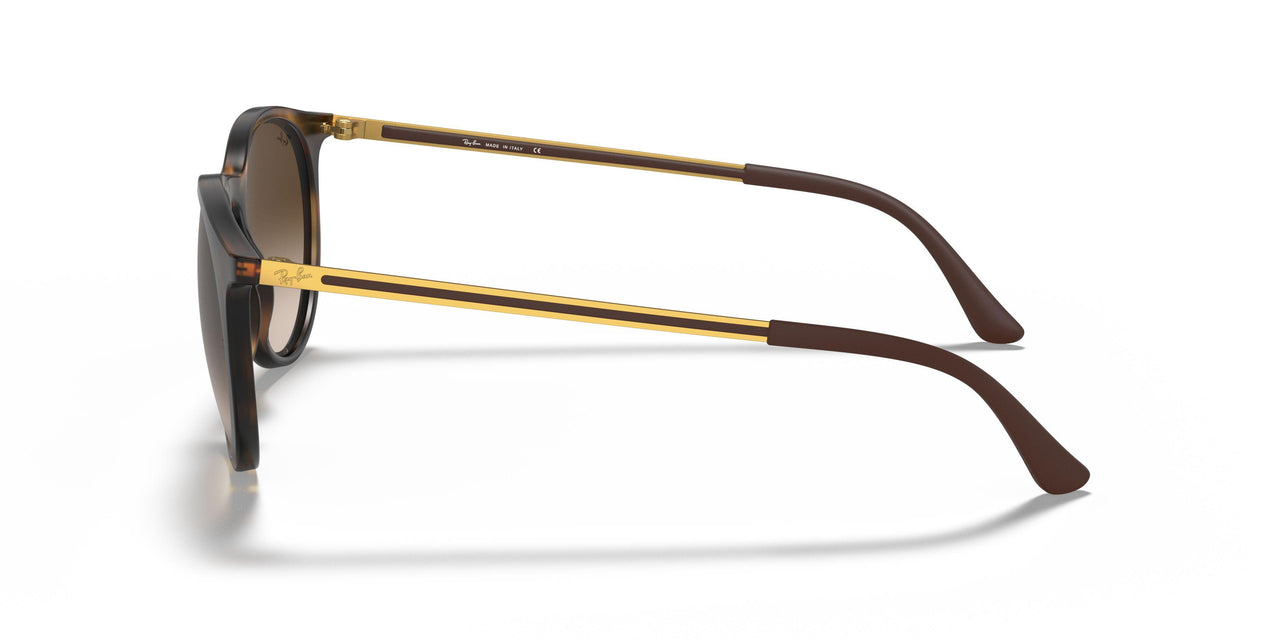 856/13 - Havana - Gradient Brown