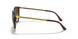 856/13 - Havana - Gradient Brown