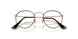3173 - Black - Clear