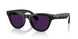 601/CH - Black - Clear/amethyst