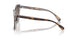 574274 - Tortoise - Brown Gradient