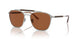 304573 - Silver - Dark Brown