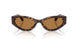 100273 - Tortoise - Bronze