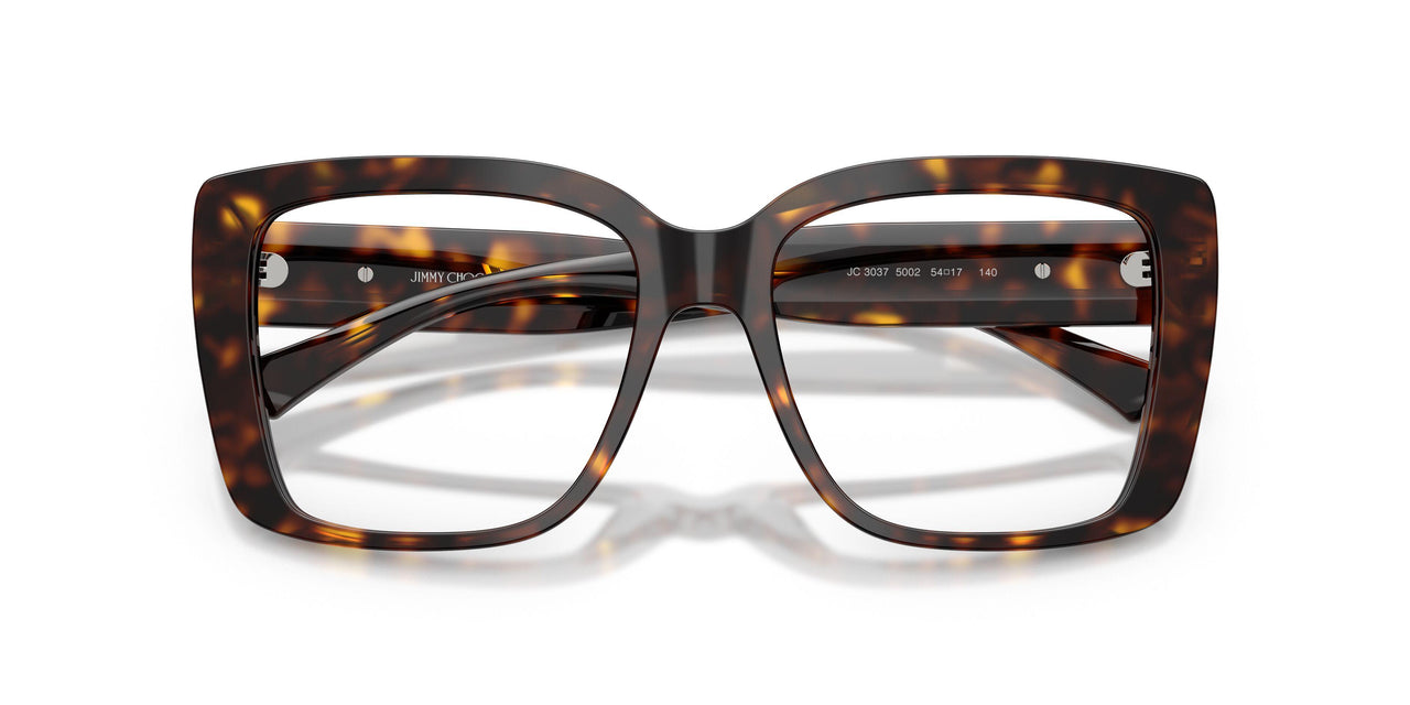 5002 - Tortoise