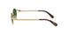 400471 - Gold - Dark Green