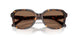 512073 - Tortoise - Brown Solid