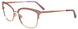 Paradox P5072 Eyeglasses