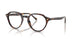 W656 - Brown