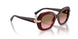 328614 - Red - Pink Gradient Brown