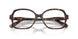 1002 - Tortoise