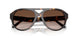 196413 - Tortoise - Brown Gradient