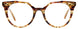 10 - Transparent Khaki & Striped Tortoise