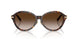 80153B - Tortoise - Brown Gradient