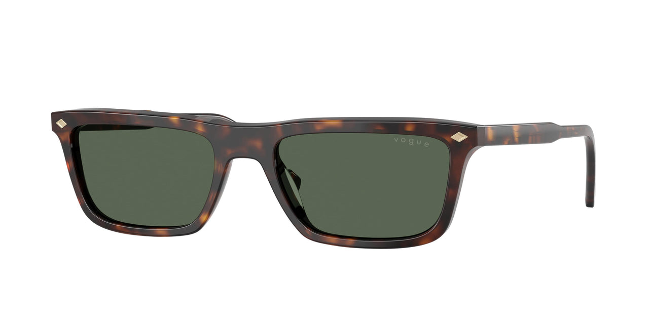 Vogue 5687S Sunglasses