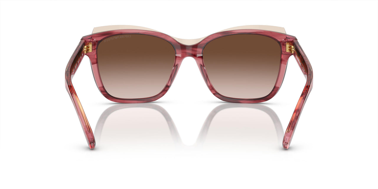 605713 - Red - Gradient Brown