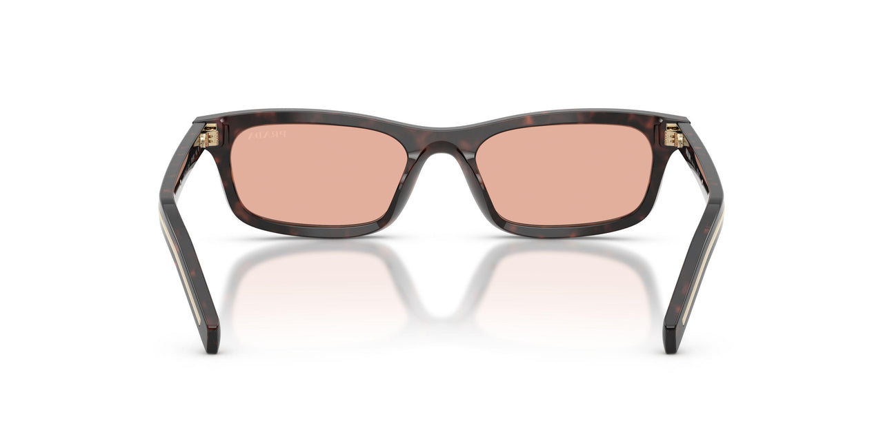 17N50W - Tortoise - Pink