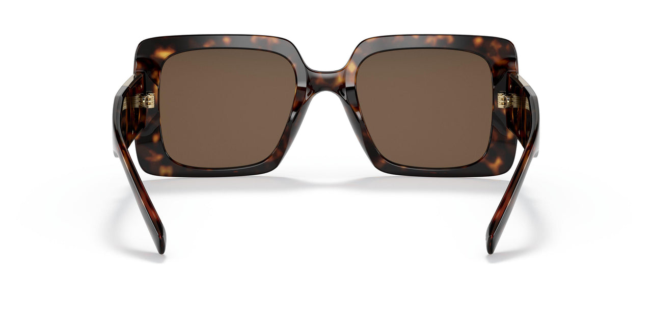 108/73 - Havana - Dark Brown