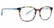 TBL - Tortoise/Blue