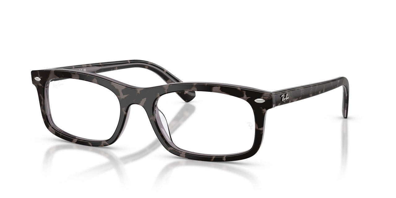 Ray-Ban 5450 Eyeglasses