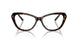 5003 - Brown