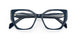 08Q1O1 - Blue