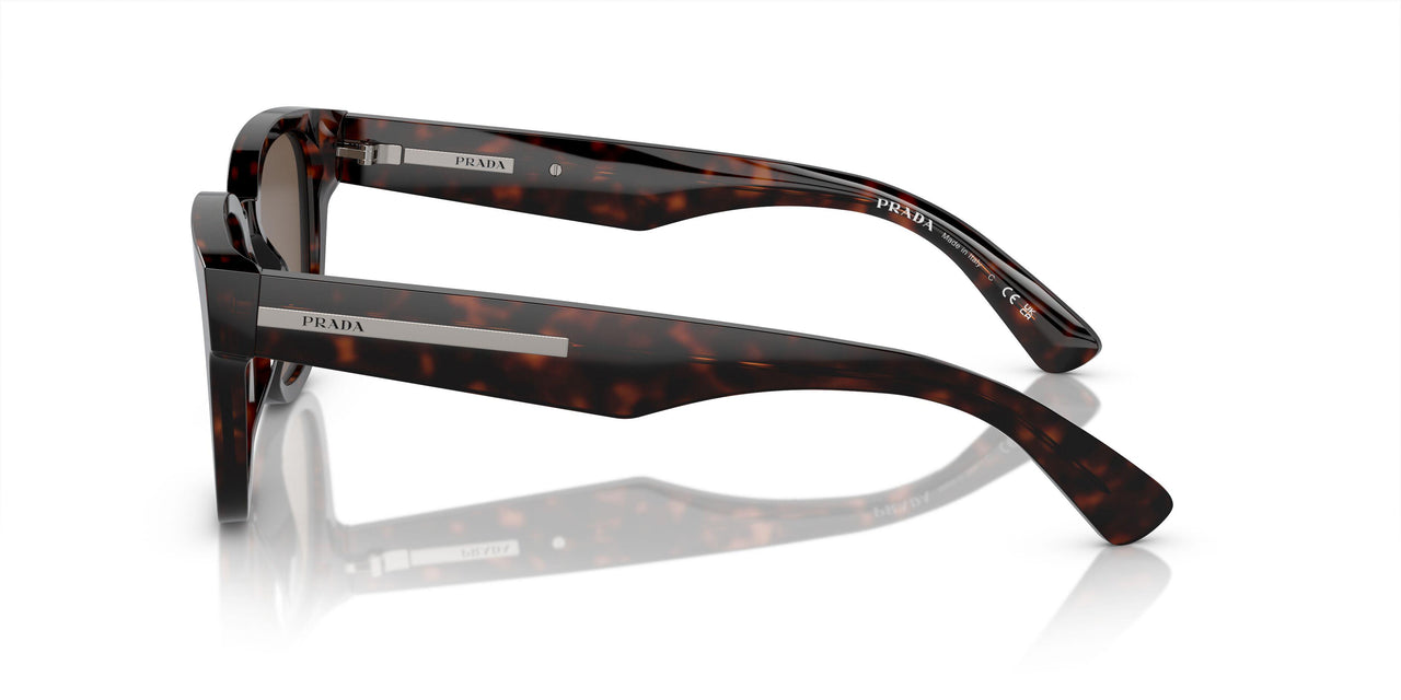 17N08T - Tortoise - Brown