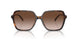 300613 - Tortoise - Brown Gradient