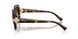W65613 - Brown - Gradient Brown