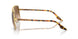 001/51 - Gold - Clear Gradient Brown