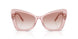 322613 - Pink - Clear Gradient Brown