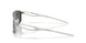 603105 - Silver - Prizm Black Polarized