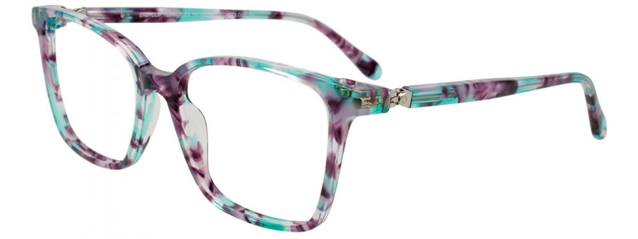 60 - Teal & Purple Tortoise