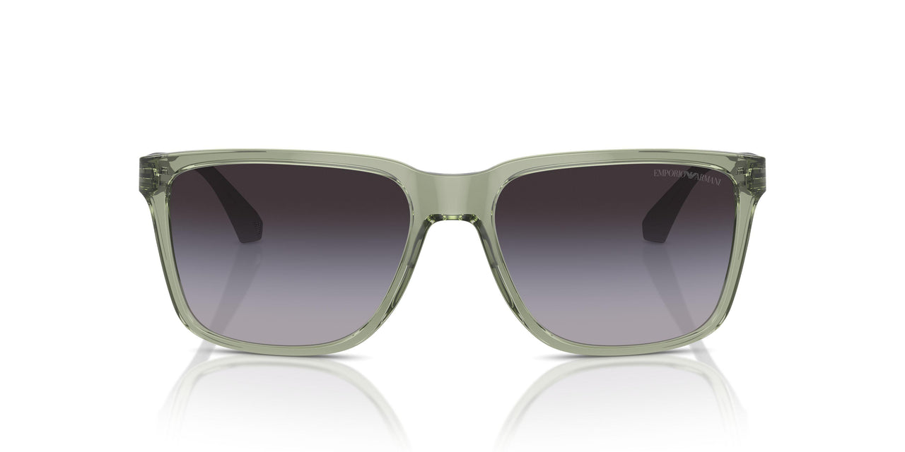 53628G - Green - Gradient Grey