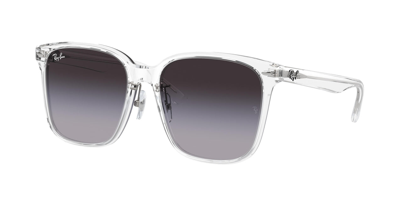 Ray-Ban 2206D Sunglasses