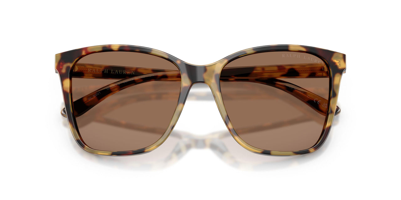 500473 - Brown - Brown