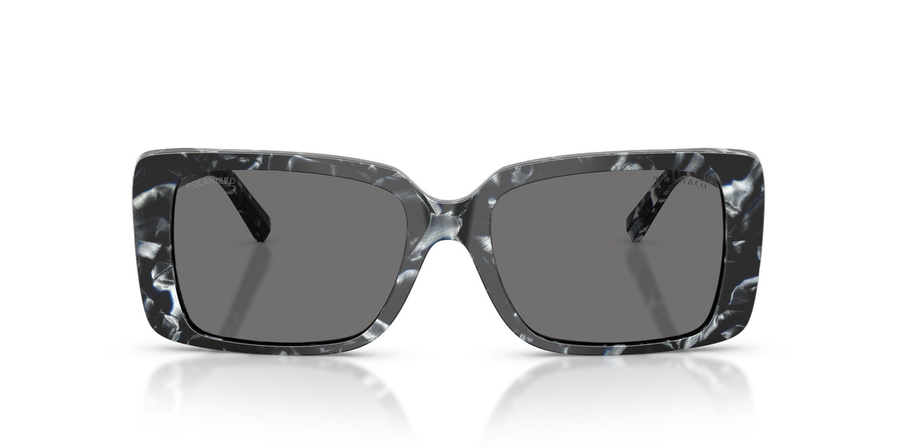842881 - Tortoise - Dark Grey Polarized