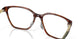 801302 - Tortoise