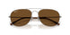 004/57 - Grey - Polarized Brown