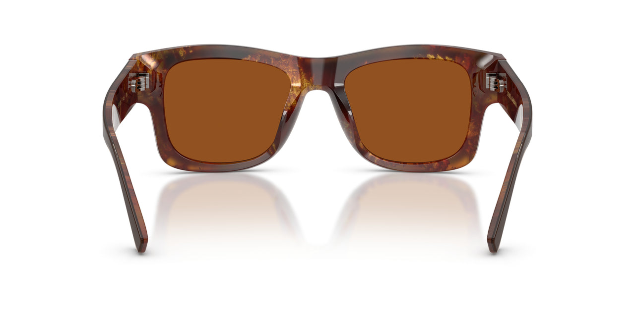 345673 - Brown - Dark Brown