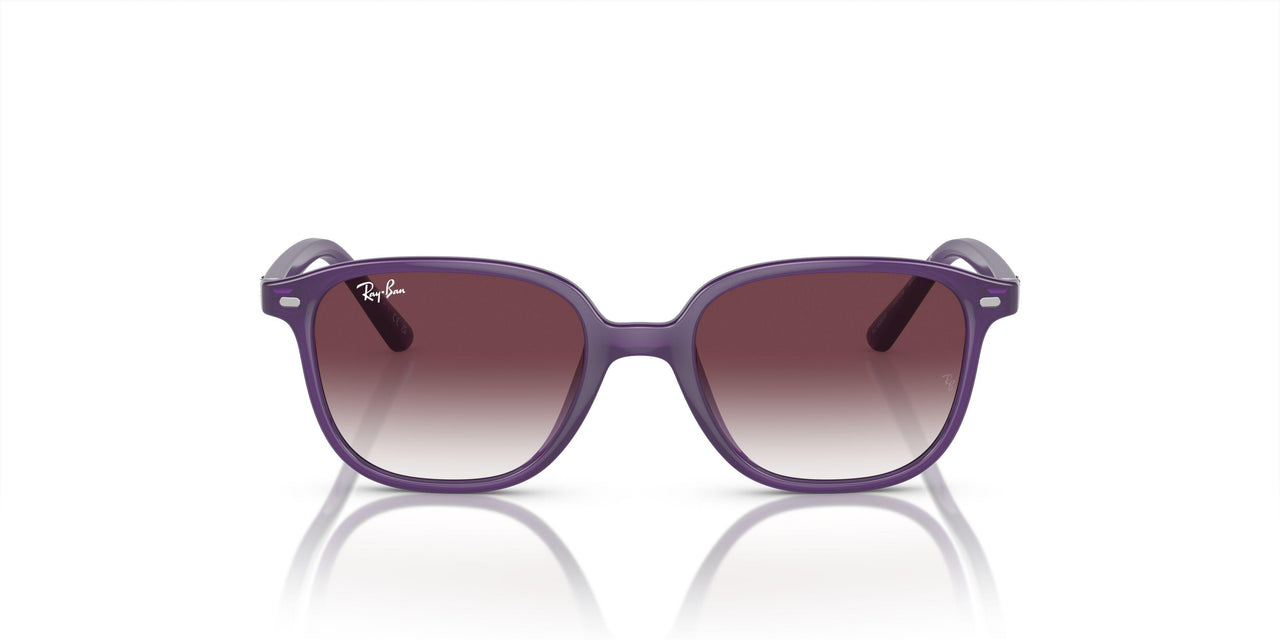 713136 - Violet - Grey/violet