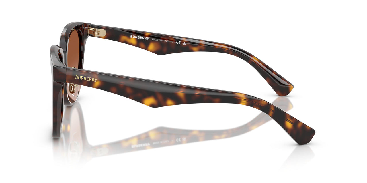 300213 - Brown - Brown Gradient