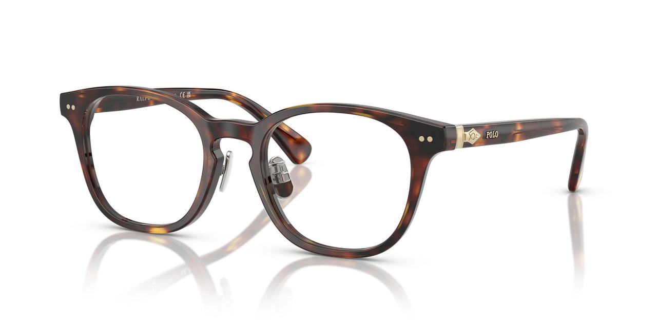 6137 - Tortoise