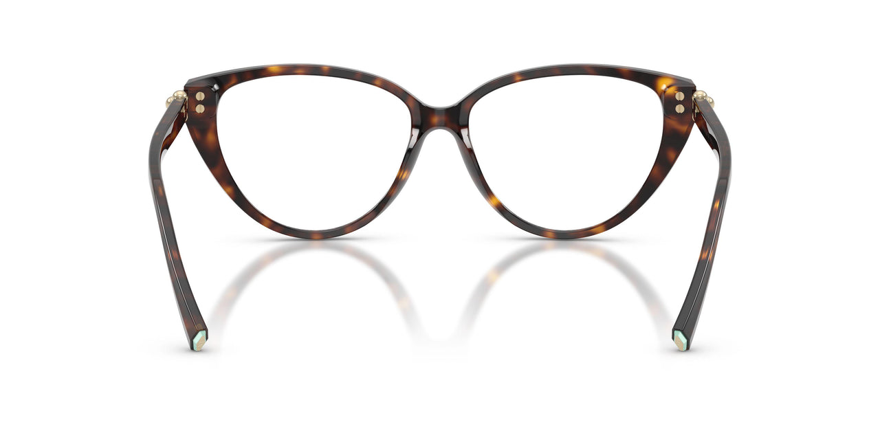 8015 - Tortoise