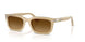 116985 - Brown - Light Brown Gradient Dark Brow